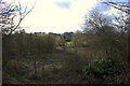 Woods alongside Grand Union Canal near Dudswell