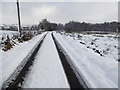 Snow along Rushill Road, Racolpa