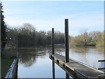 SO8459 : The River Severn Heading South From Hawford Lock by Roy Hughes