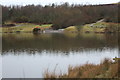 North shore of Fishing Lake, Garn Lakes LNR