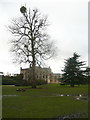 SK4033 : Lime tree with mistletoe, Elvaston Castle Country Park by Humphrey Bolton