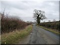 Puxley Road heading east from Puxley to the A422