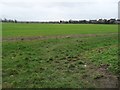 Farmland east of Deanshanger