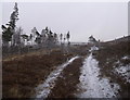 NH4835 : Gate on the moorland track in the snow, by Boblainy Forest by Craig Wallace