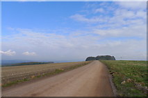 SU0355 : The Wessex Ridgeway long distance path by Tim Heaton