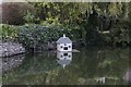 Duck house in the pond