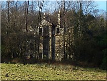 NS3881 : The ruins of Woodbank House by Lairich Rig