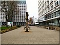 Tree at UMIST