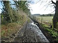 Affpuddle, farm road