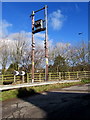 Western Power Distribution line spur pole, Grange Road, Undy