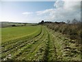 Briantspuddle, bridleway