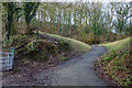 Former rail bridge at Efail Fach