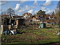 Trull allotments and The Old Rectory