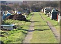 Allotments near Alton Park Road, Clacton