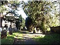 St Mary, Ewell: churchyard (iv)