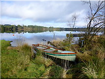 H5775 : Moored boat, Loughmacrory Lough by Kenneth  Allen
