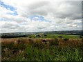 View of Moor Leazes Farm