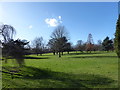 A pleasant walk in Cheam Park (iv)