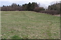 Path towards Downs Barn