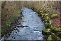 Ebbw Fach River below Glo-byllau, Abertillery