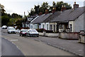 Cottages on Culmore Road