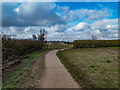 Track near Letchworth