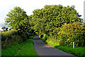 Cookley Lane north of Caunsall in Worcestershire