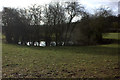 Pond on the south side of the Ridgeway near Bookmoorend