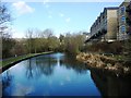 Canalside housing at Bingley