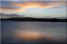 ST5559 : Dawn over Chew Valley Lake by Philip Halling