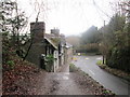 Whitcliffe Cottages (Viewed from the Path leading up to Whitcliffe Common)