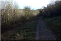 Ridgeway path looking eastwards