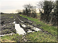 SD5612 : Muddy Field at Coppull by David Dixon