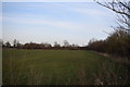 East Tilbury Marshes