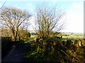 Footpath in Edgworth