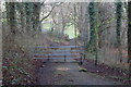 Track to rugby football ground, Abertillerry Park