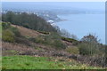 View towards Shanklin from Luccombe