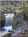 Rivelin Valley Trail, Rivelin Valley, Sheffield