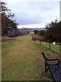 Path and benches at the SW side of Abbey Craig