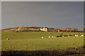 Farmland at Mosside