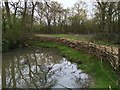 Pond in Howe Park Wood