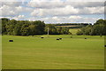 Farmland near Pewsey