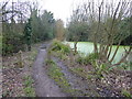 Bridleway leading from Galley Lane