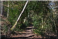 Footpath above Whitmore Vale