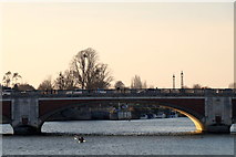 TQ1568 : Hampton Court Bridge by Mike Pennington