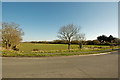 A field of grass alongside the A361 at Chivenor