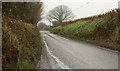 Road near Trelyn