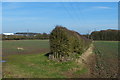 Farmland near Warren Farm