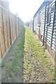 Alstone : Grassy Footpath