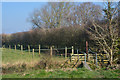 Sedgemoor : Grassy Field & Path